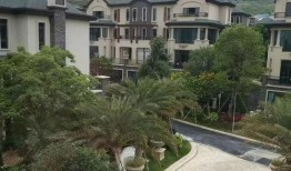 澳门政府最新爆料电话,揭秘事件背后真相